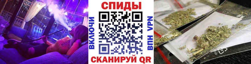 Купить где  Полысаево  Бутират бутандиол 