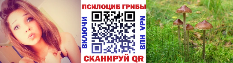 Псилоцибиновые грибы ЛСД Купить закладки Полысаево